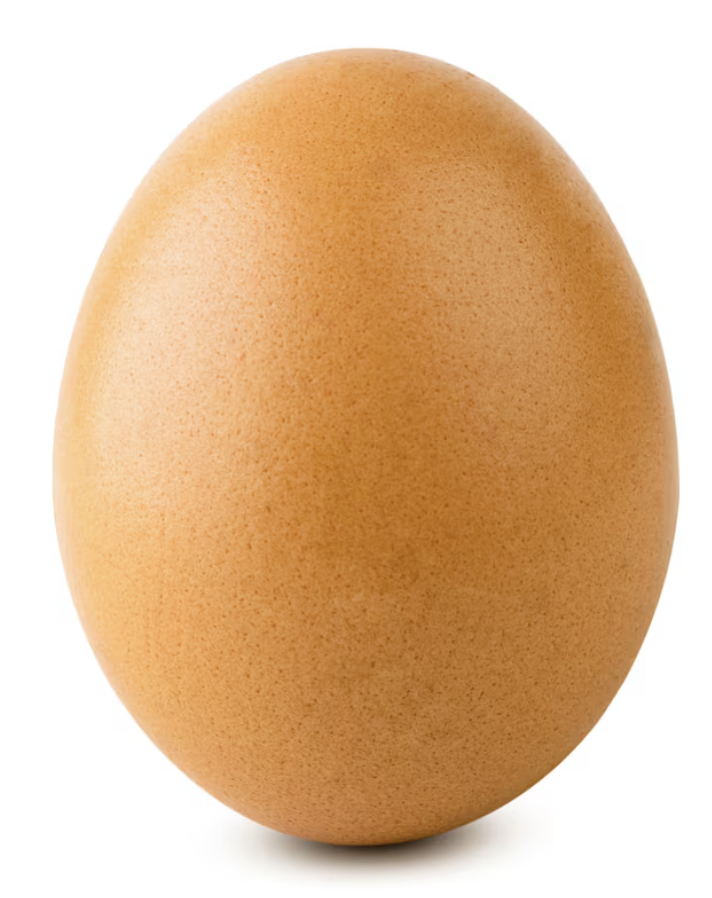 a brown egg sit on white background